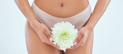 Pelvic Floor Muscles in Women: Their Role and Importance